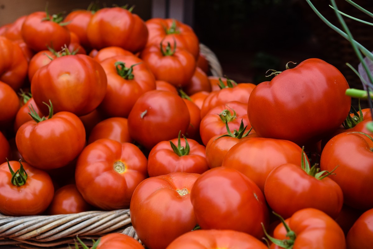 Com 6,79%, tomate foi o item que mais teve aumento na cesta básica de janeiro em Rio Branco, diz pesquisa | Acre